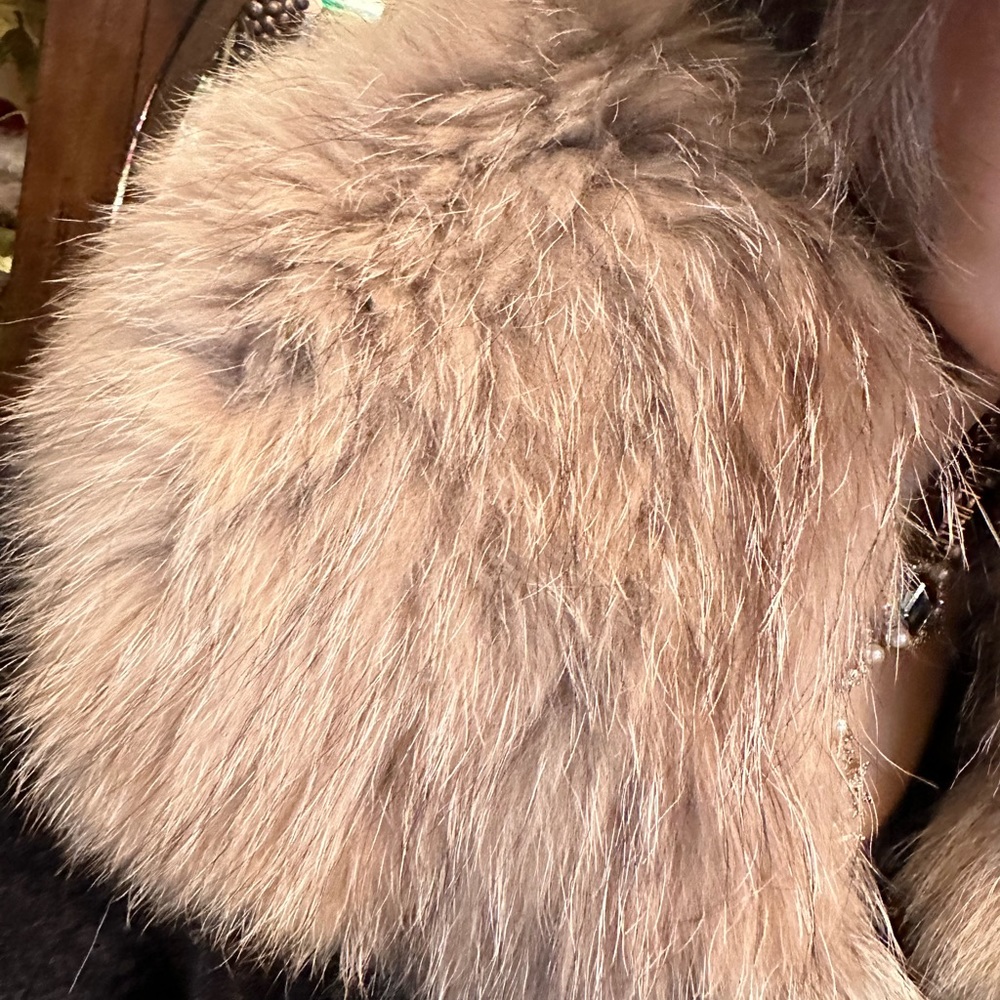 Roberto Cavalli Wool and Coyote Shawl - Picture 12 of 15
